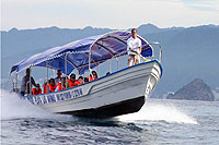 Private Group Water Taxi Puerto Vallarta