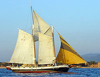 Puerto Vallarta Sailing