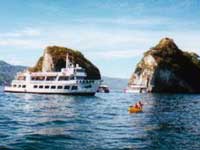 Puerto Vallarta Bay Cruises