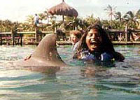 Puerto Vallarta Swim With Dolphins