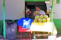 Puerto Vallarta Food Tour