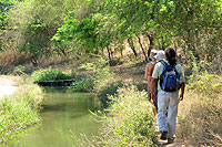 Sierra Madre Hiking Puerto Vallarta