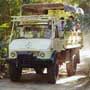 Jungle Tours
