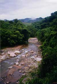 Puerto Vallarta Horseback Riding