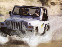 Puerto Vallarta Jungle Tour