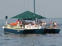 KonTiki