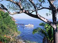 Puerto Vallarta Snorkeling