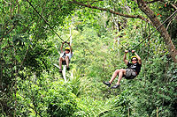 Puerto Vallarta Canopy Tour