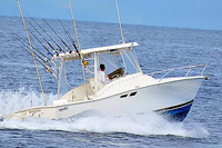 25' Luhrs Fishing Puerto Vallarta