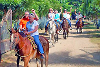 Puerto Vallarta Horseback Riding Lessons