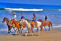 Puerto Vallarta Horseback Beach Riding Excursion