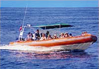Open Air Expeditions Zodiac