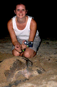 Puerto Vallarta Sea Turtle Camp