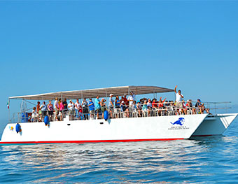 100 Passenger Catamaran