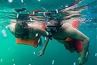 Snorkeling Puerto Vallarta