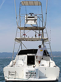 34' Sea Ray Sportfisher - Puerto Vallarta Mexico