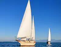 Catamaran Snorkeling Tour