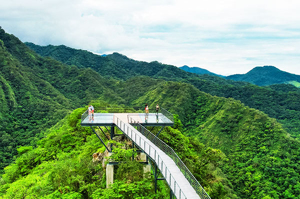 Puerto Vallarta Canopy Tour