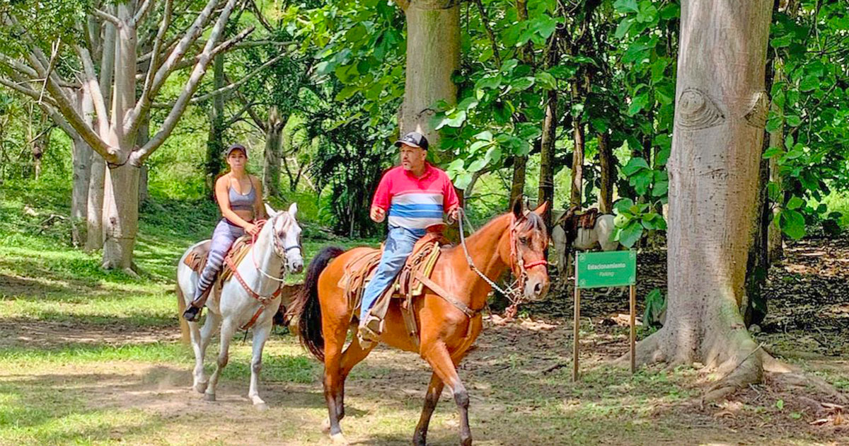 Jungle Horseback Riding Tour in Puerto Vallarta